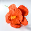 Fiori in feltro - Fiore con pistilli - immagine 4