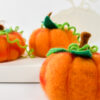 Zucca in feltro - immagine 2