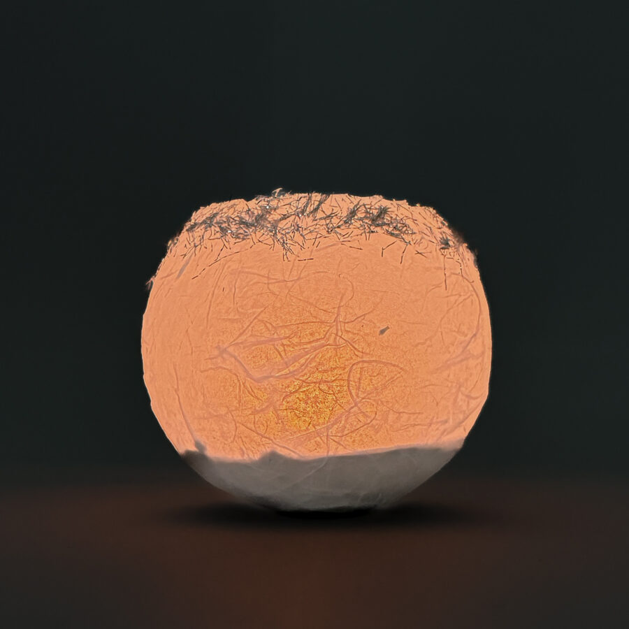 Lumino in carta pesta - immagine 5
