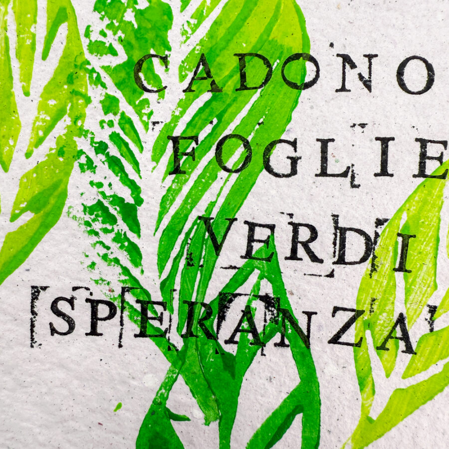 Scrivisù - Set 3 quaderni - immagine 5