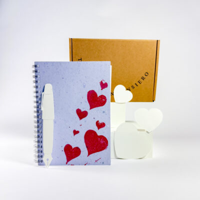 Diario - Ti dedico un pensiero